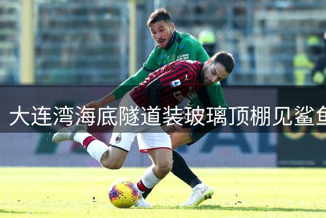 大连湾海底隧道装玻璃顶棚见鲨鱼？官方紧急澄清不实传闻