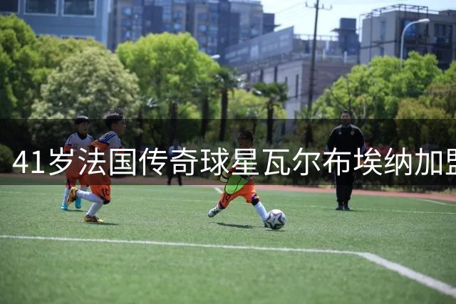 41岁法国传奇球星瓦尔布埃纳加盟马耳他乙级队 开启职业生涯新篇章